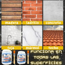 SELLADOR AGUACERO GRAN COMBO + 250 ML GRATIS +5 BRINDES